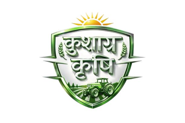 whatsapp image 2026 02 01 at 10.39.34 removebg preview